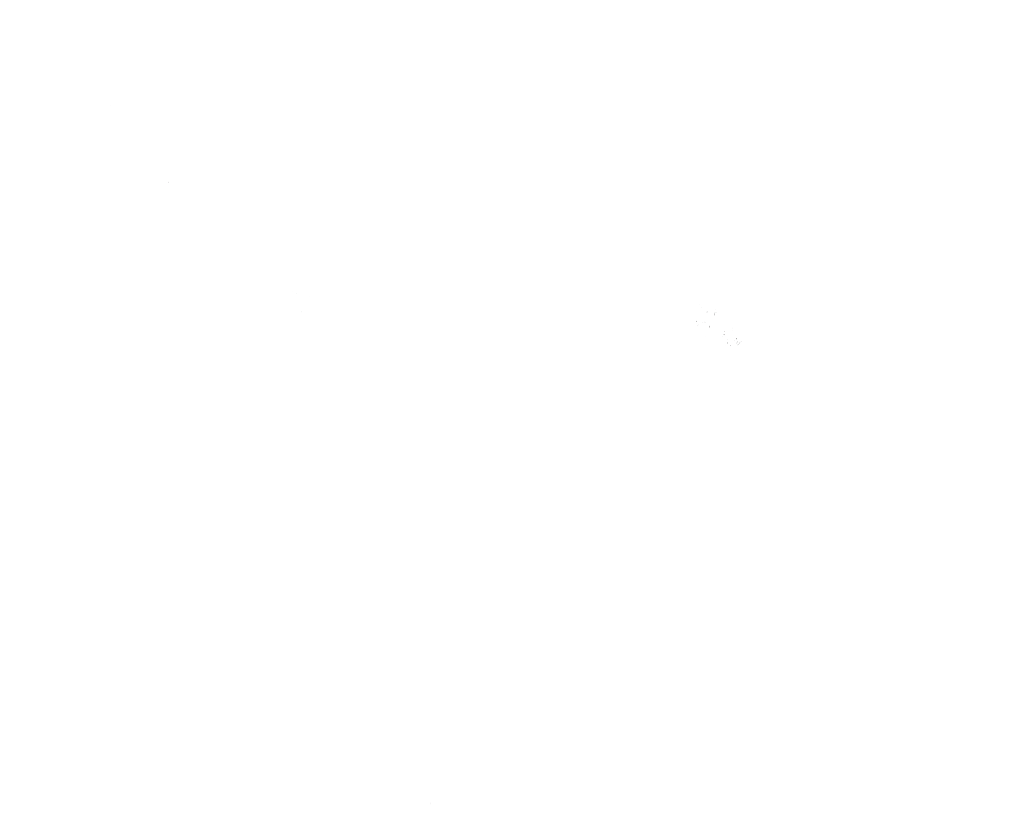 NS Photography Logo